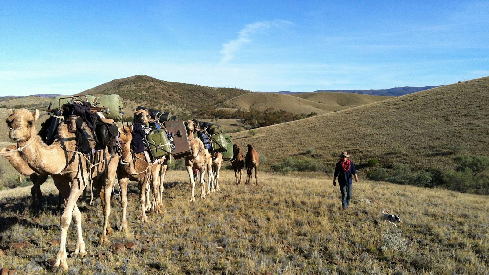 Remote Northern Flinders Camel Trek