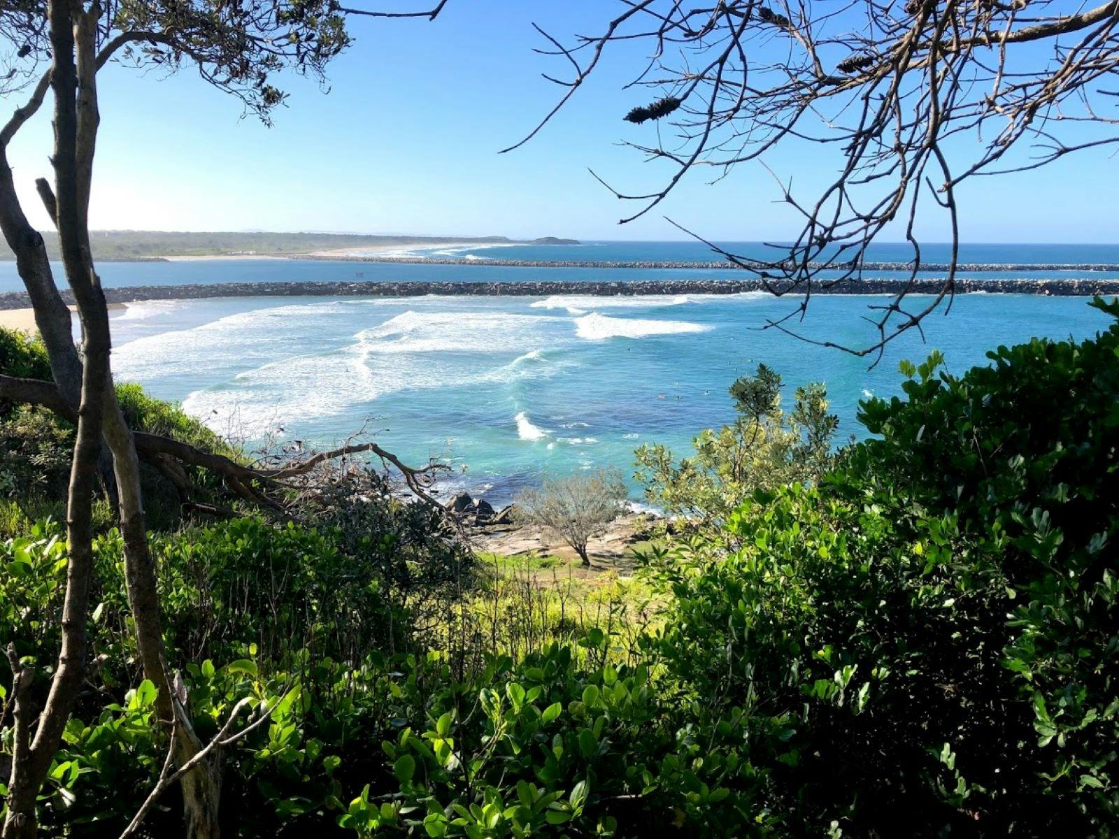 Looking out over some bushes to the blue water at Yamba