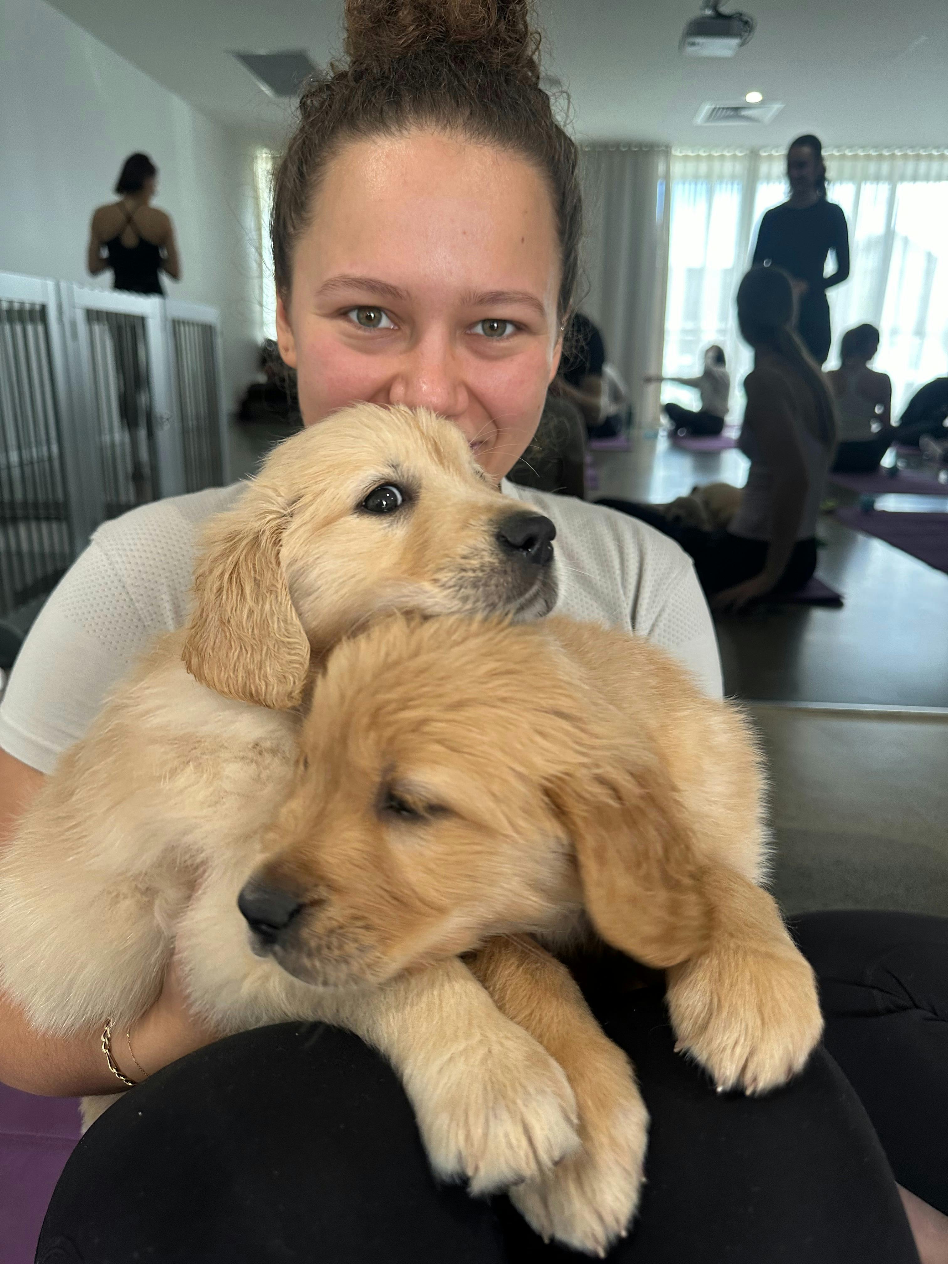 Two golden puppies enjoy a cuddle with a participant at Puppy Yoga Brisbane with Yoga Paws.
