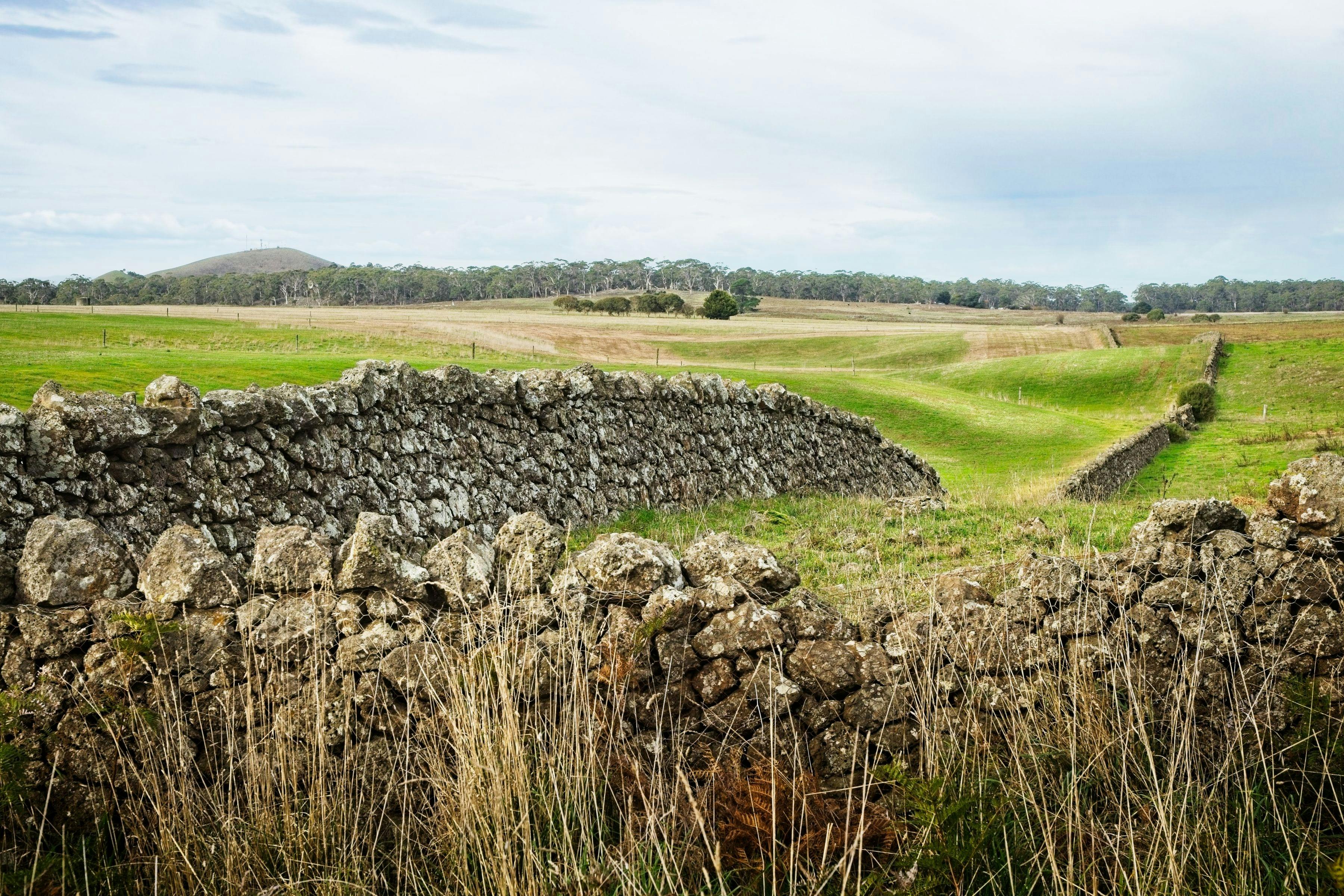 Stone Walls, Koallah