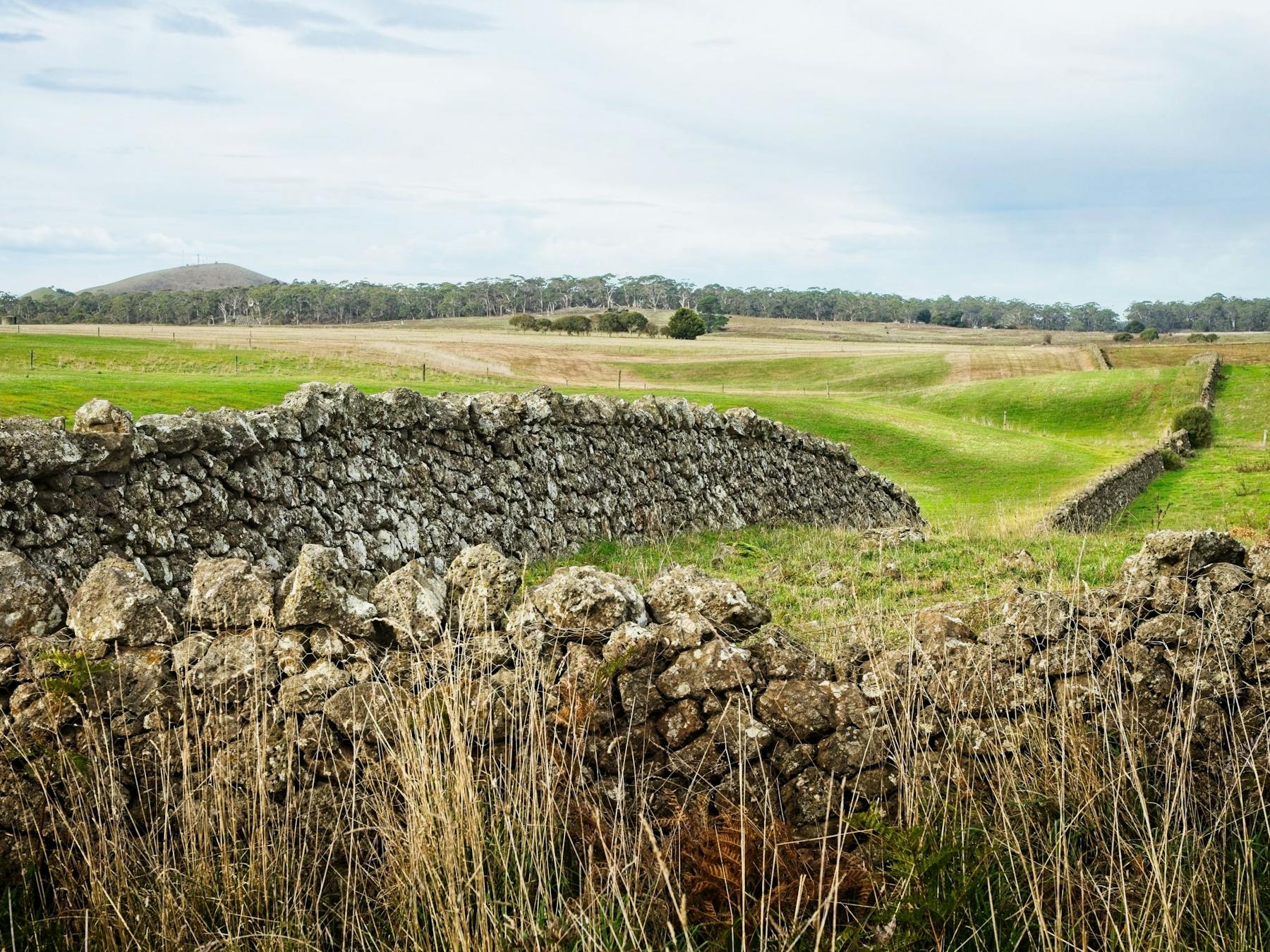 Stone Walls, Koallah