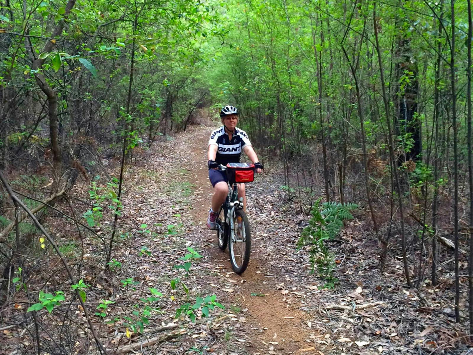 웨스턴 오스트레일리아의 문다 비디 트레일(Munda Biddi Trail) 사이클링.