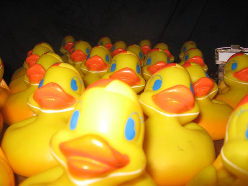Image for Port Broughton Annual Rubber Duck Race