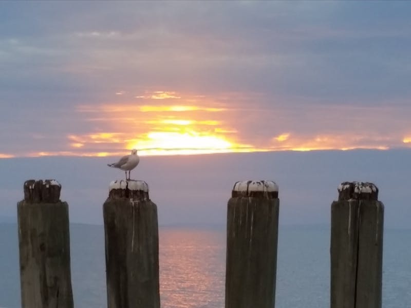 Flinders Island Car Hire and Campervan Rentals