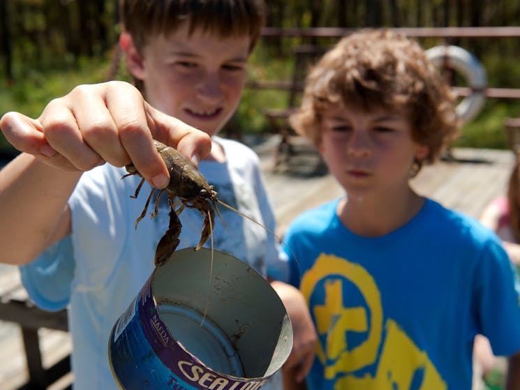 Catching yabbies