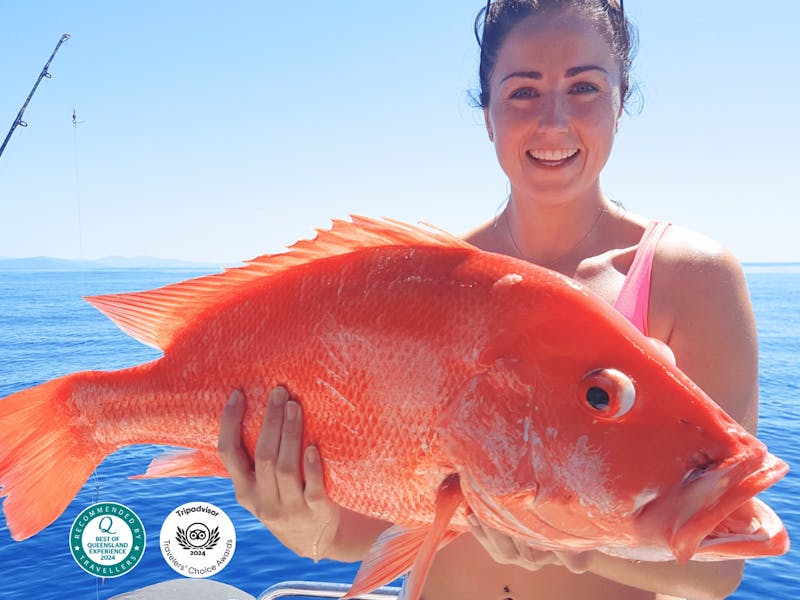 cairns reef fishing