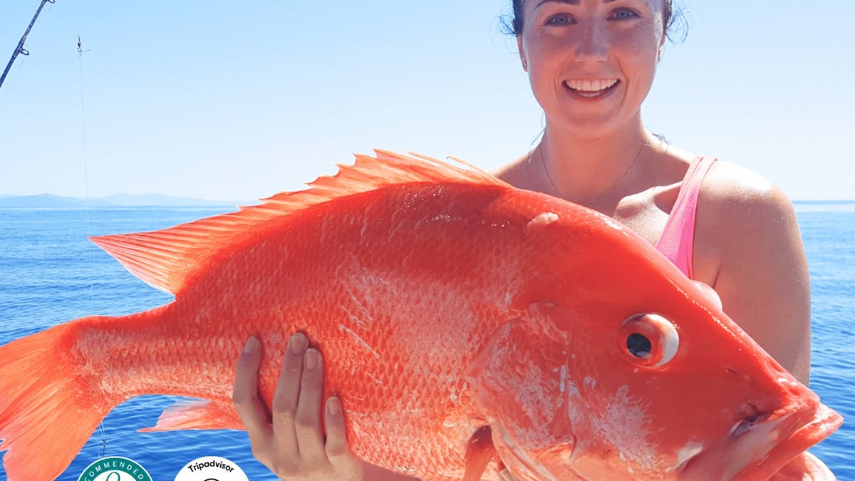cairns reef fishing