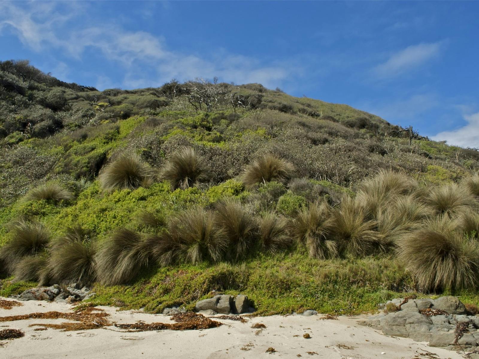 Bemm River Scenic Reserve