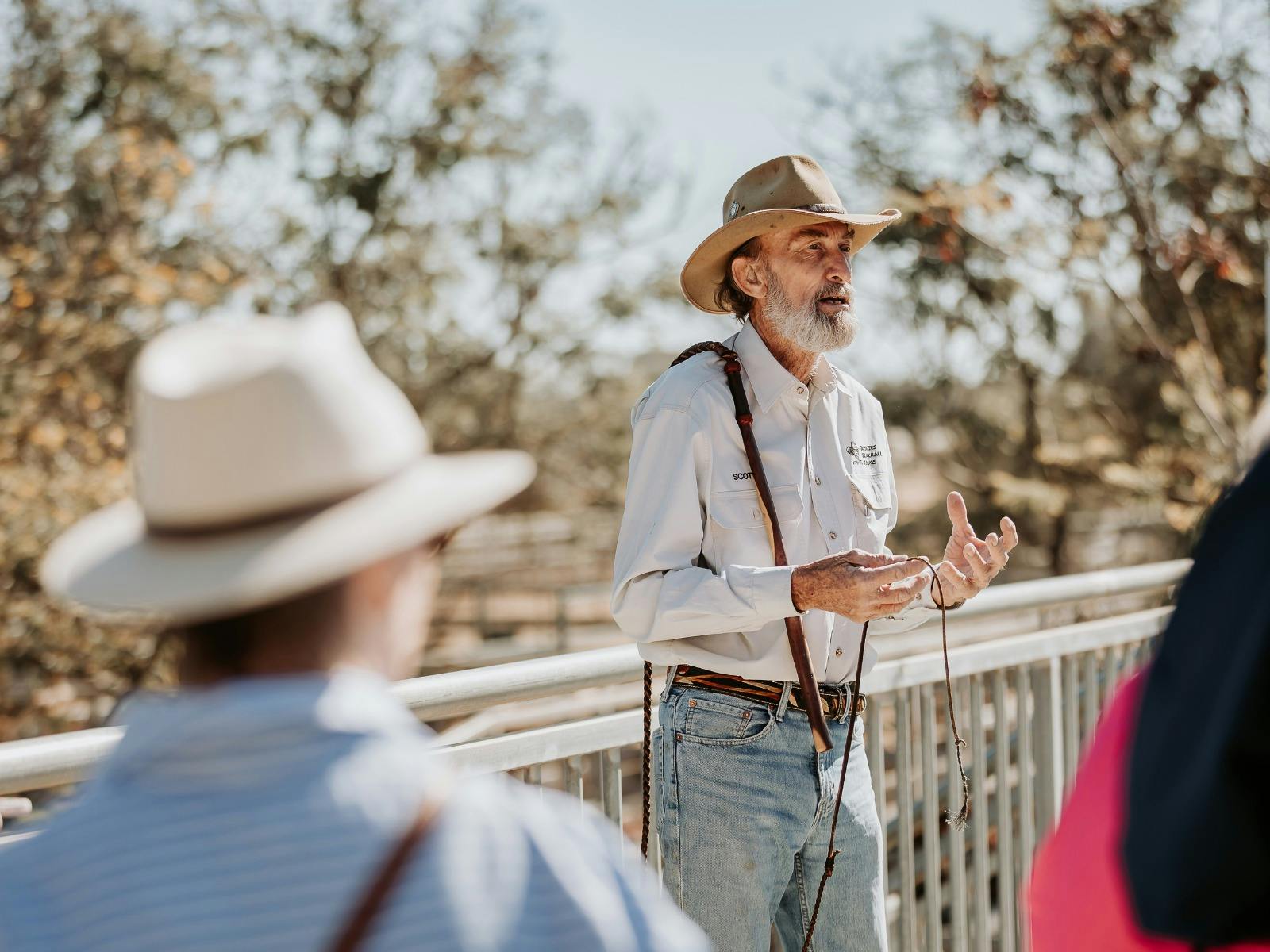 Blackall Saleyard Tours