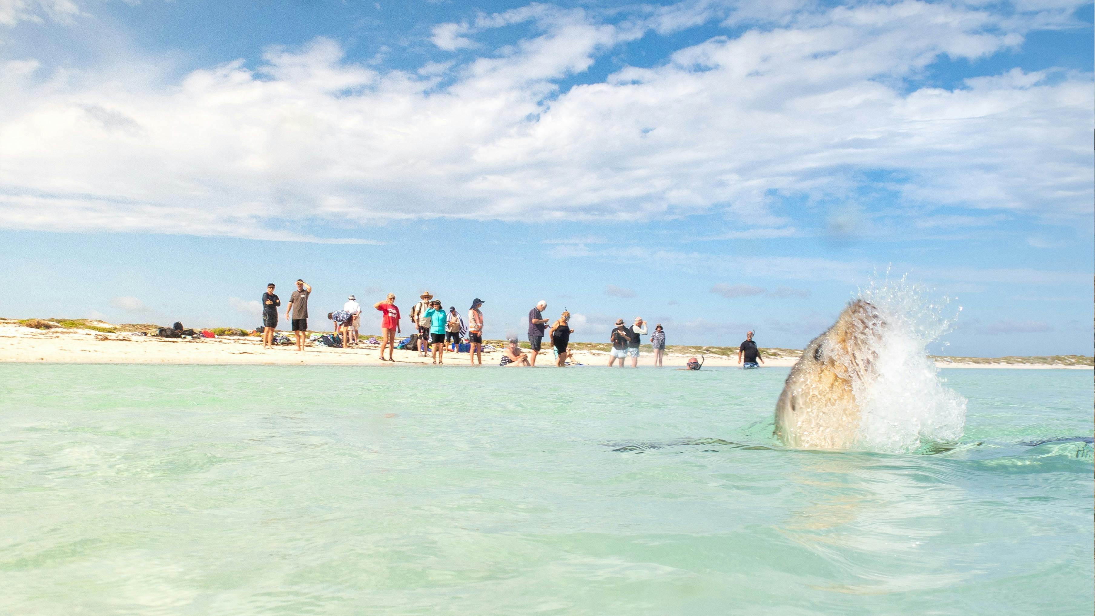 Coral Expeditions - Western Australia, Spearwood, Western Australia