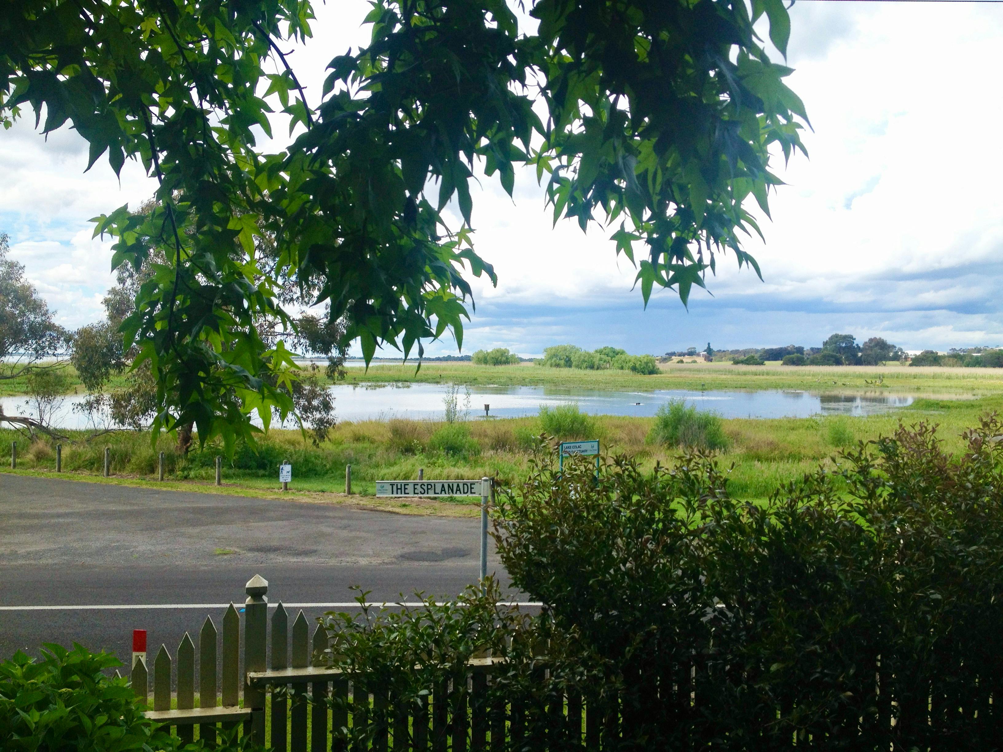 Open Gardens Victoria - Hydrangea House, view of Lake Colac from front garden