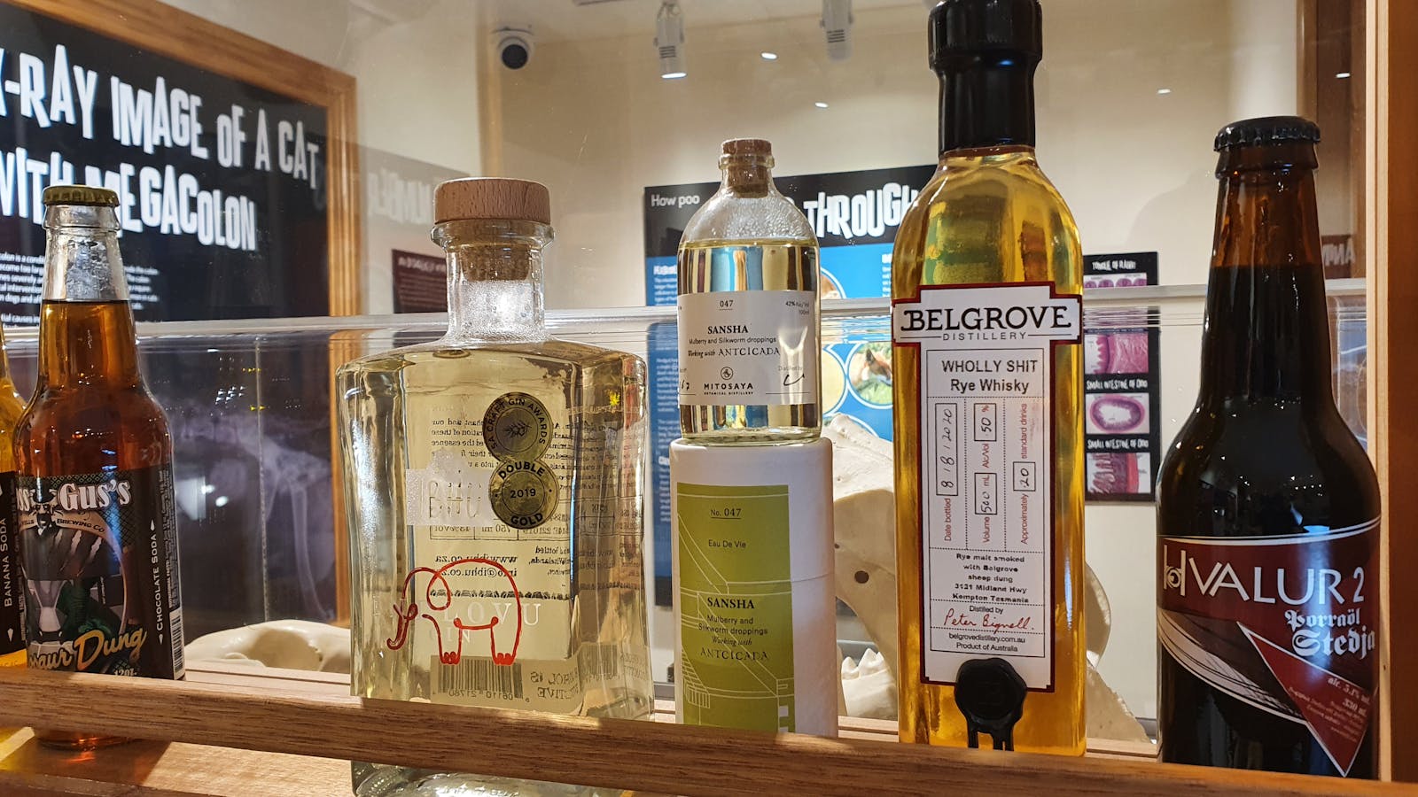 Alcoholic beverages made with dung