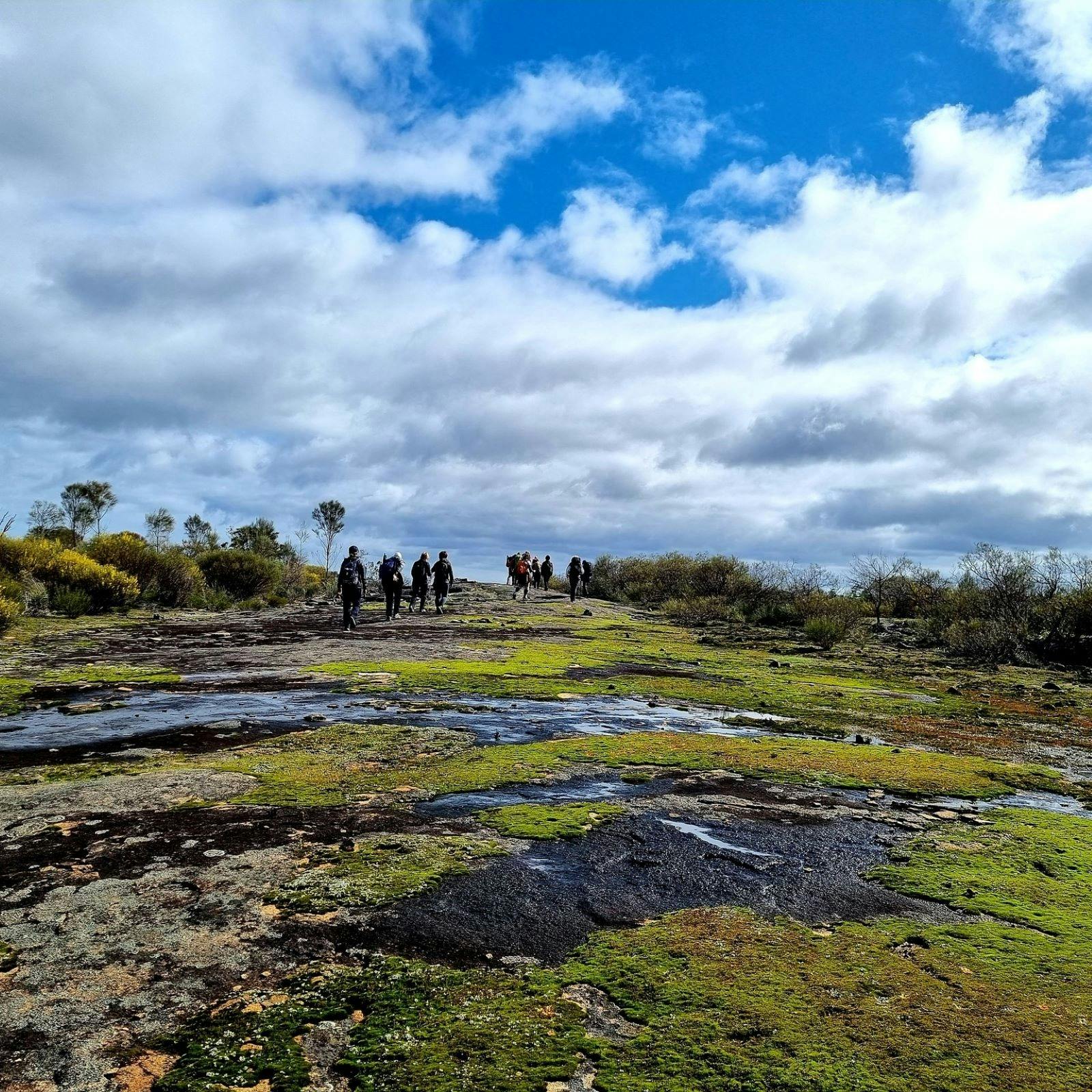 Abyssinia Rock Hiking Experience