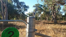 Holbrook Landcare Eco Tour
