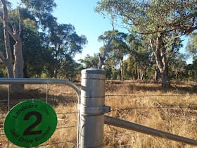 Holbrook Landcare Self-Drive Eco Tour