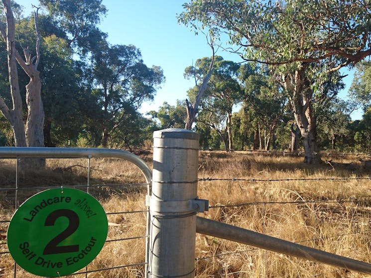 Holbrook Landcare Eco Tour