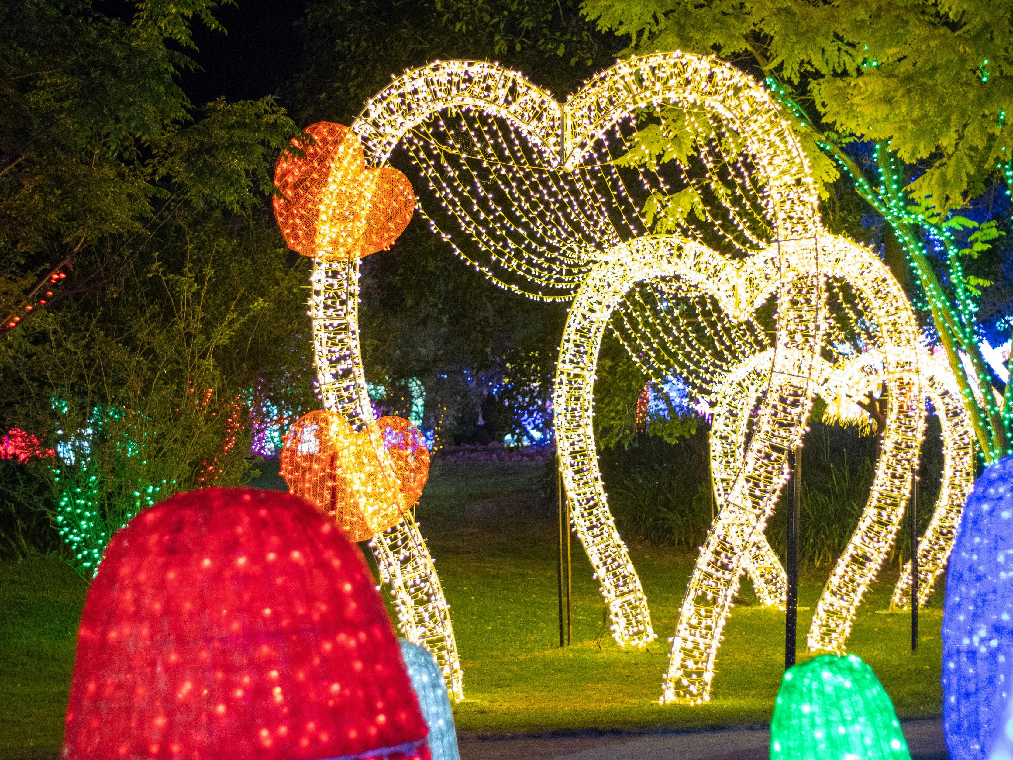 Christmas Lights Spectacular