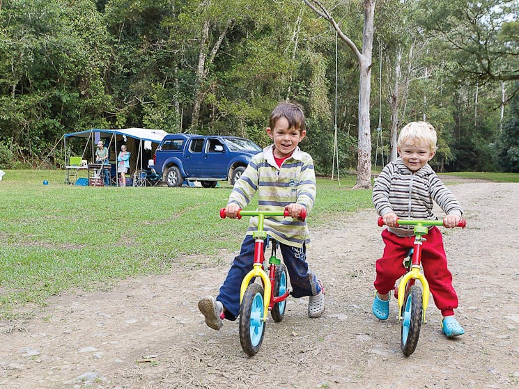 Family-friendly camping on the Telegherry RIver in Chichester State Forest