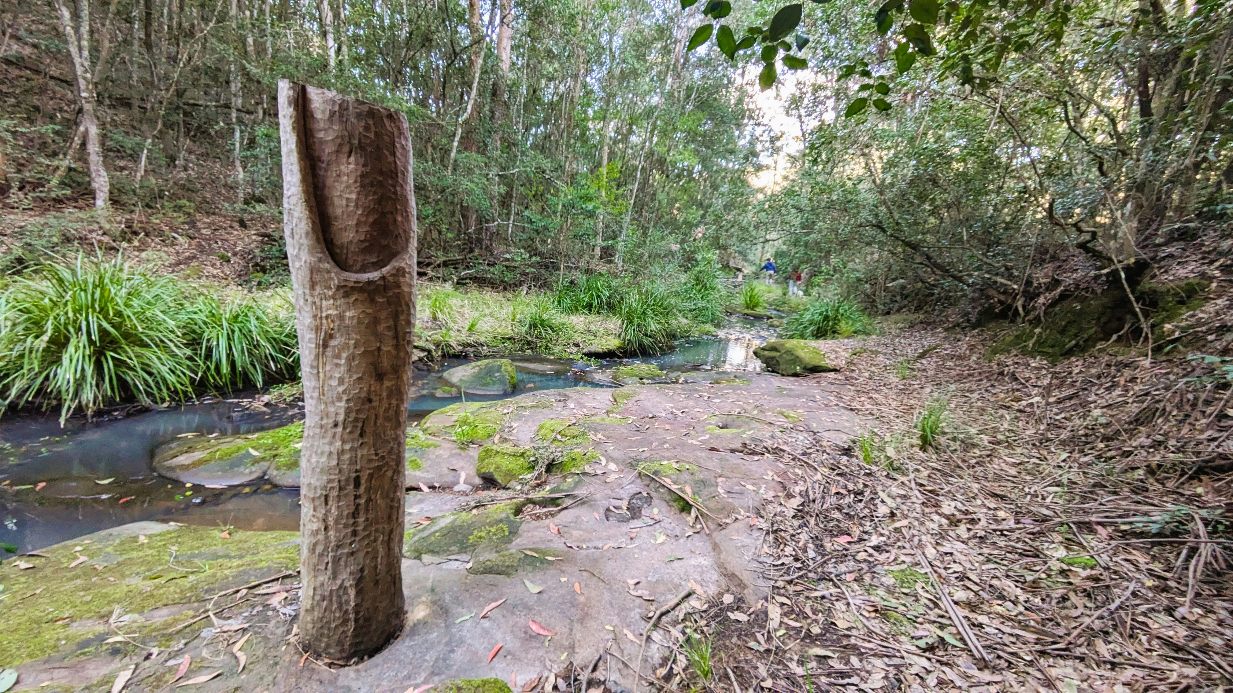 Gavin Vitullo: A Thought is a Ripple