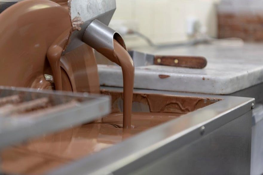 Chocolate Production. The Treat Factory