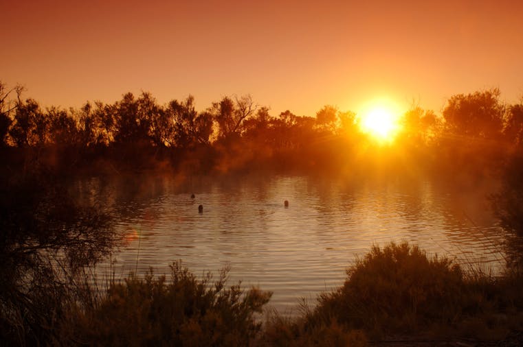 Witjira National Park