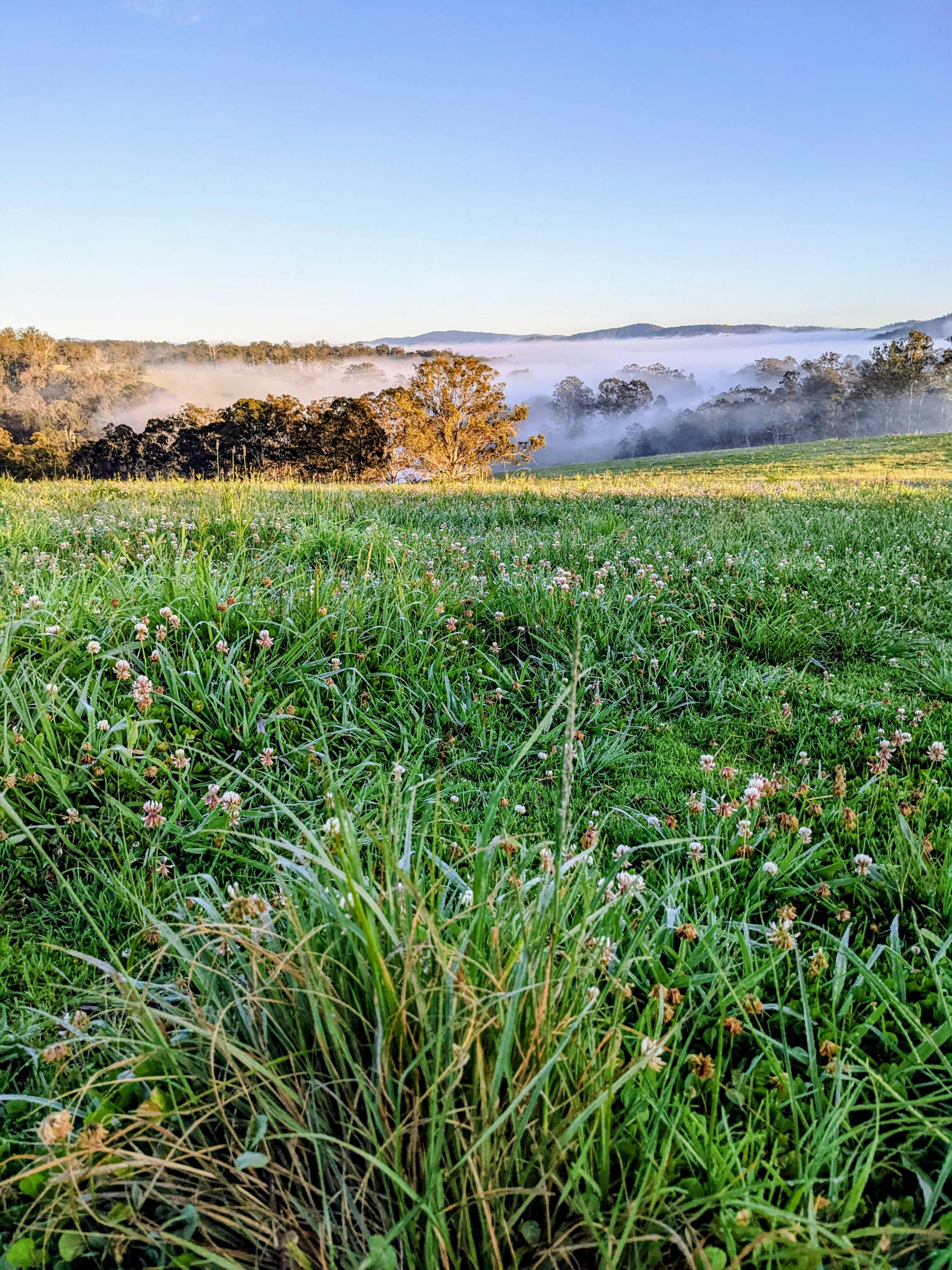 early morning