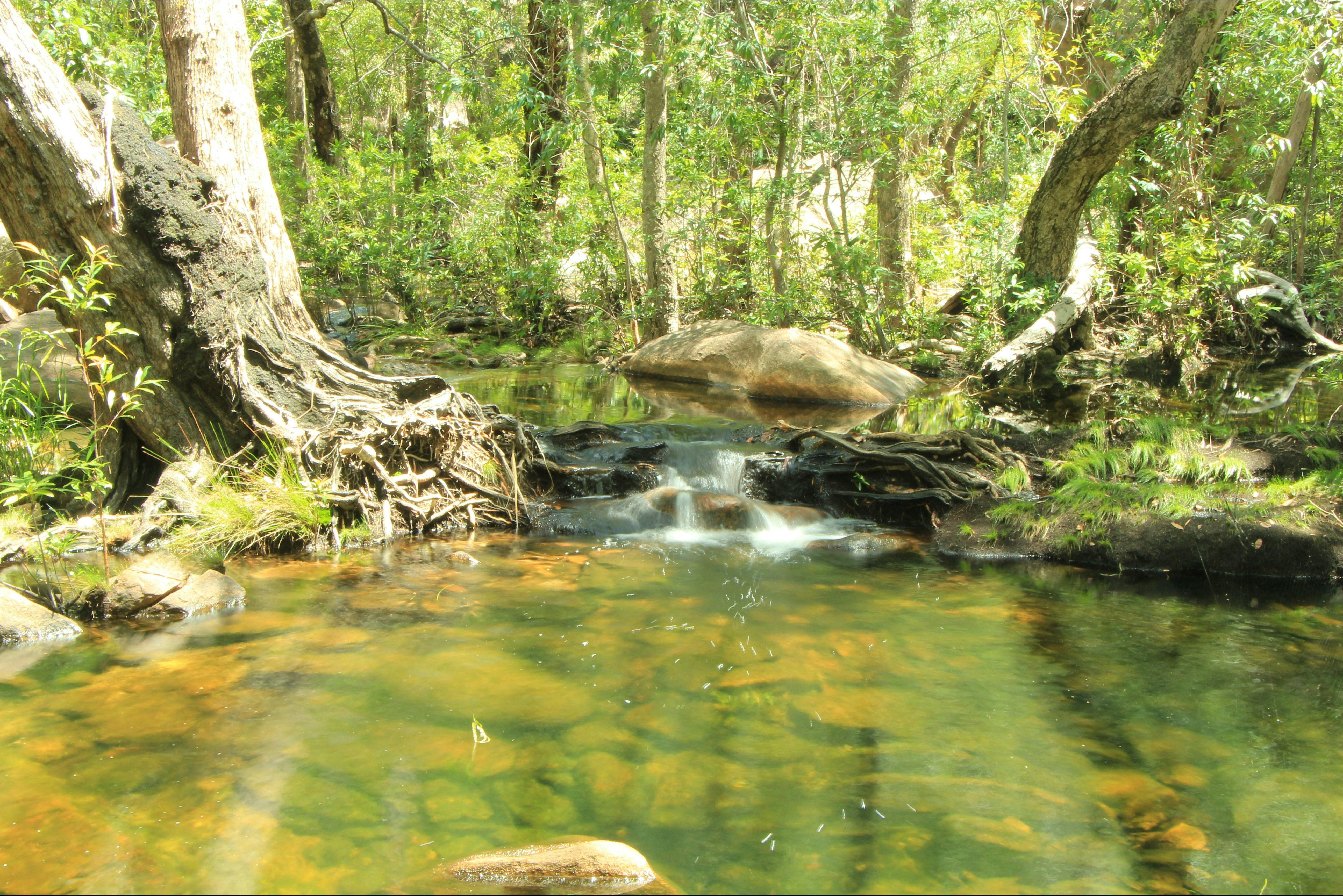 Motor Car Falls walk