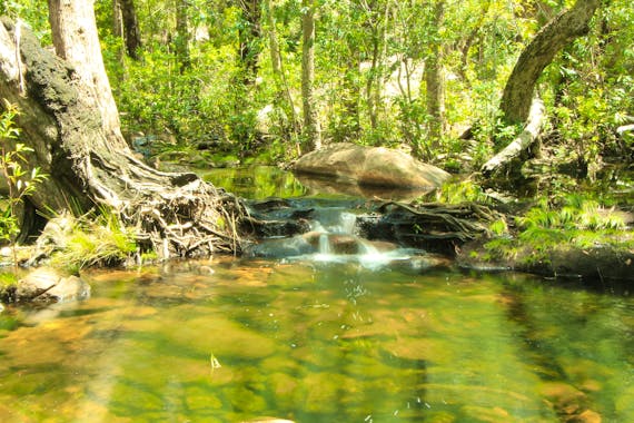 モーターカーフォールズウォーク