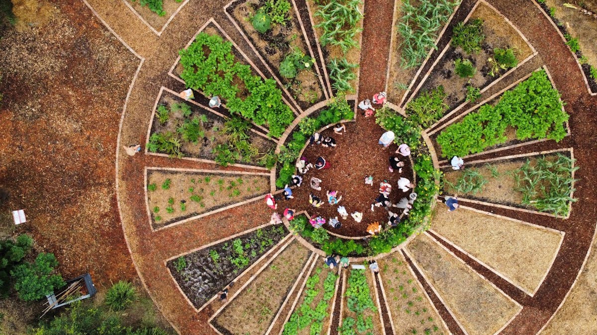 Aerial image of the mandala garden