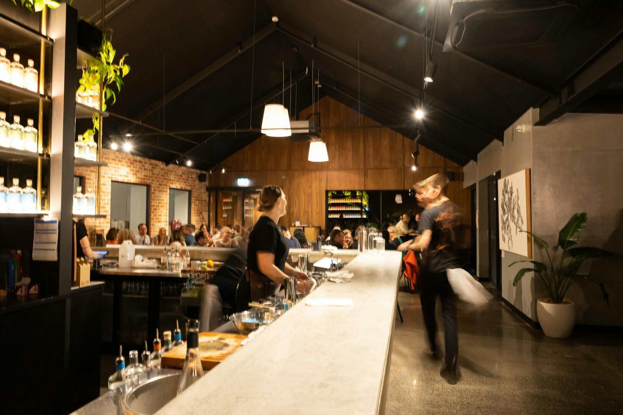 Amblesided Distillers