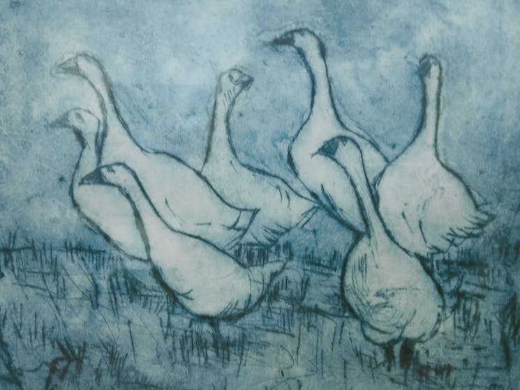 Drypoint etching by Jeanne Harrison