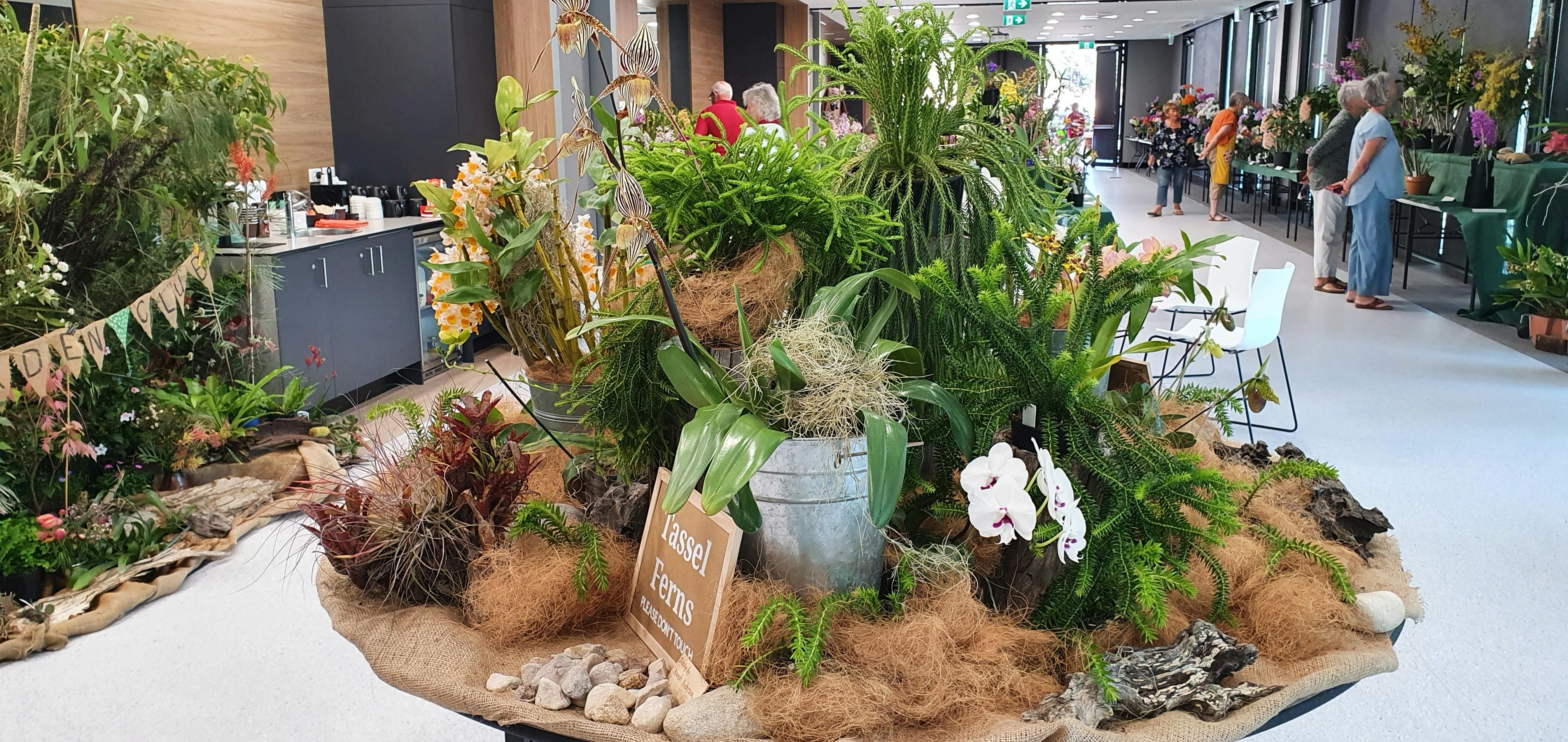 Woolgoolga District Orchid Society International Conference and Show