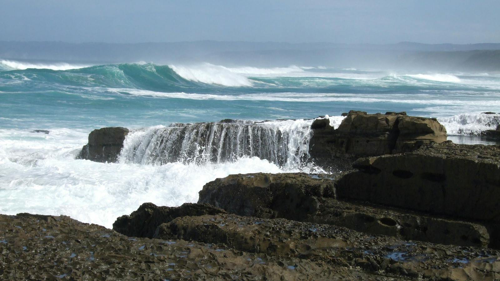 Wild Ocean Great Ocean Walk Walk91