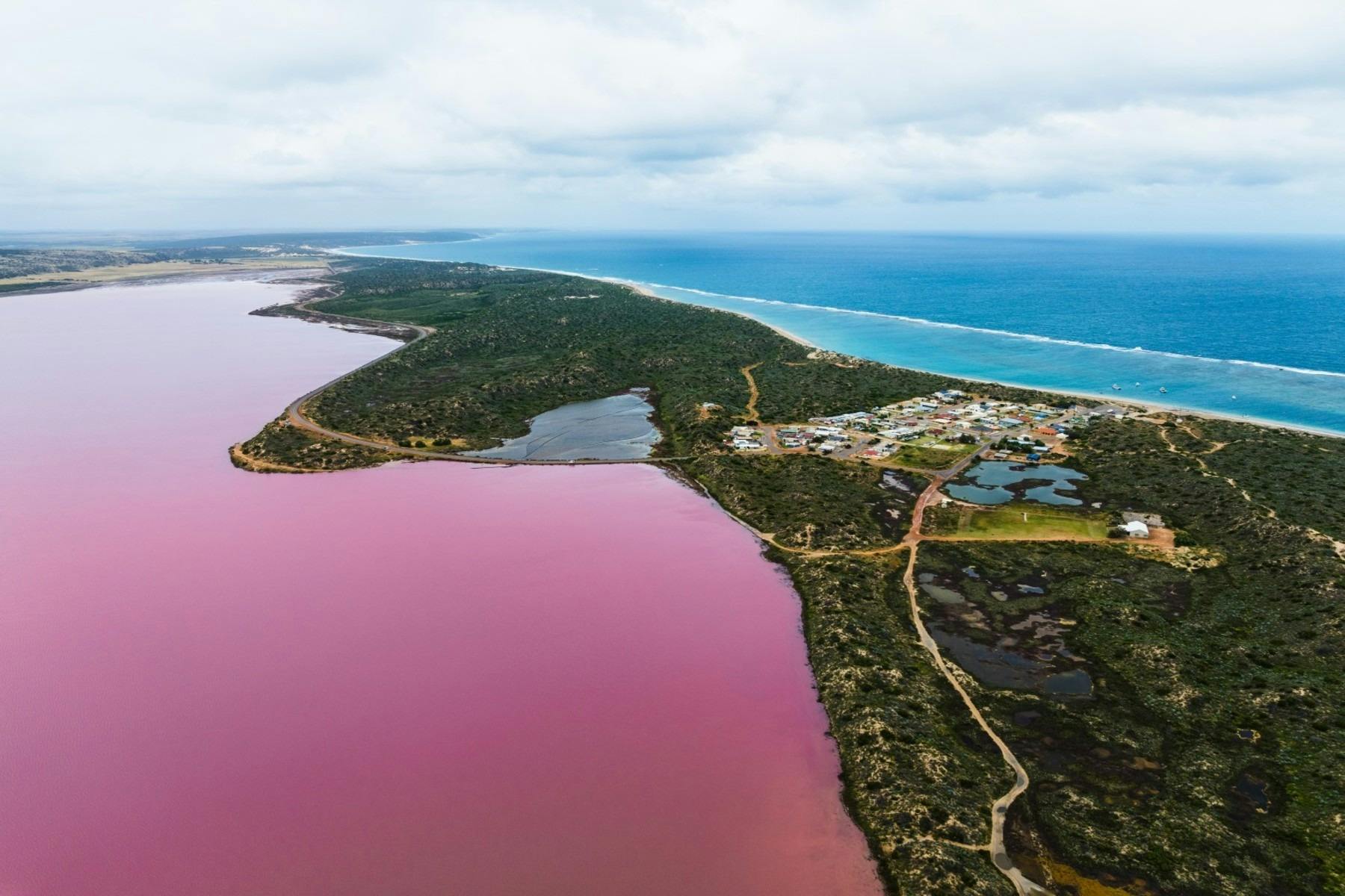 Pink Lake by Air