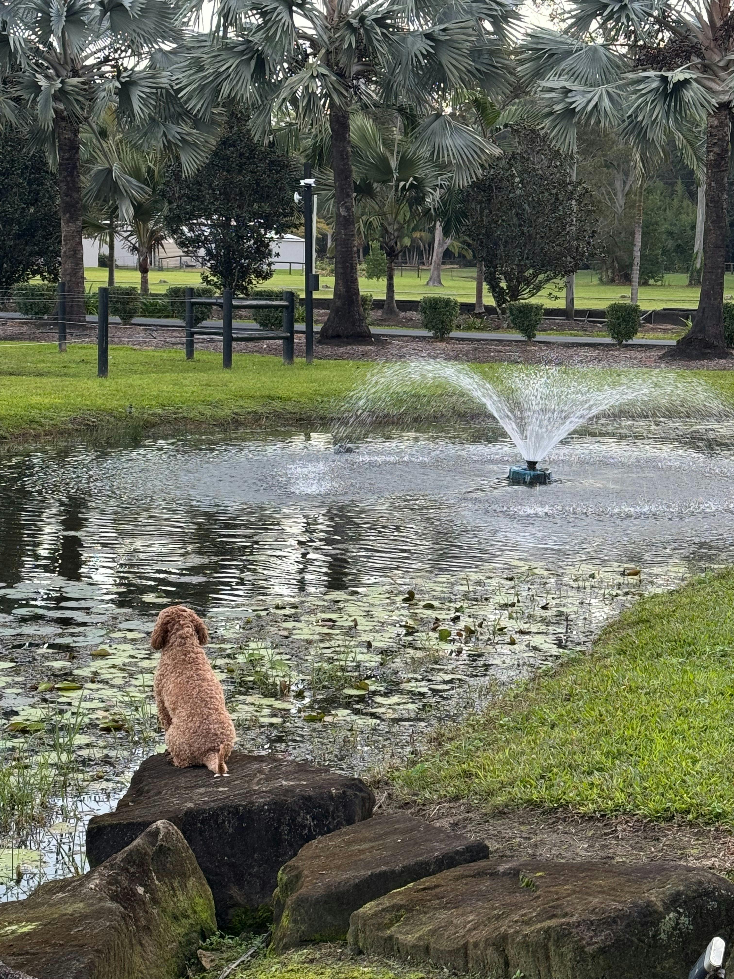 Over looking the Dam