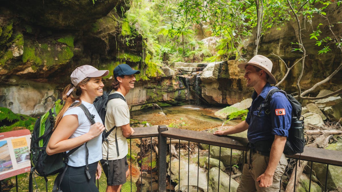 Carnarvon Gorge - Carnarvon National Park