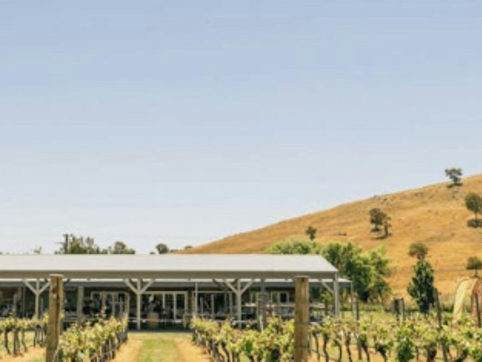 Four Winds Vineyard