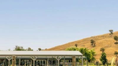 Four Winds Vineyard