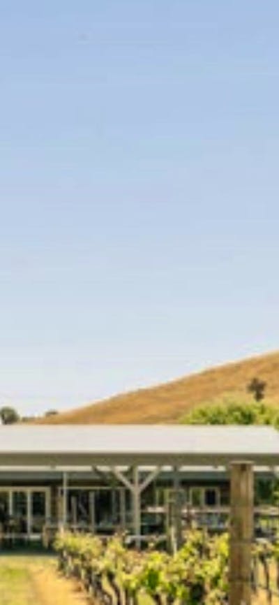 Four Winds Vineyard