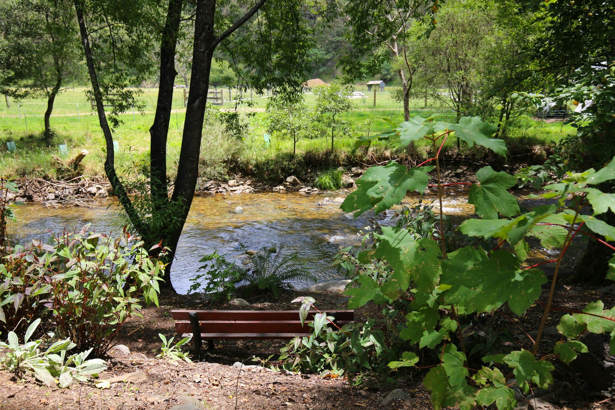 Family Group Couple Accommodation in Bright Harrietville Alpine Valley Getaways
