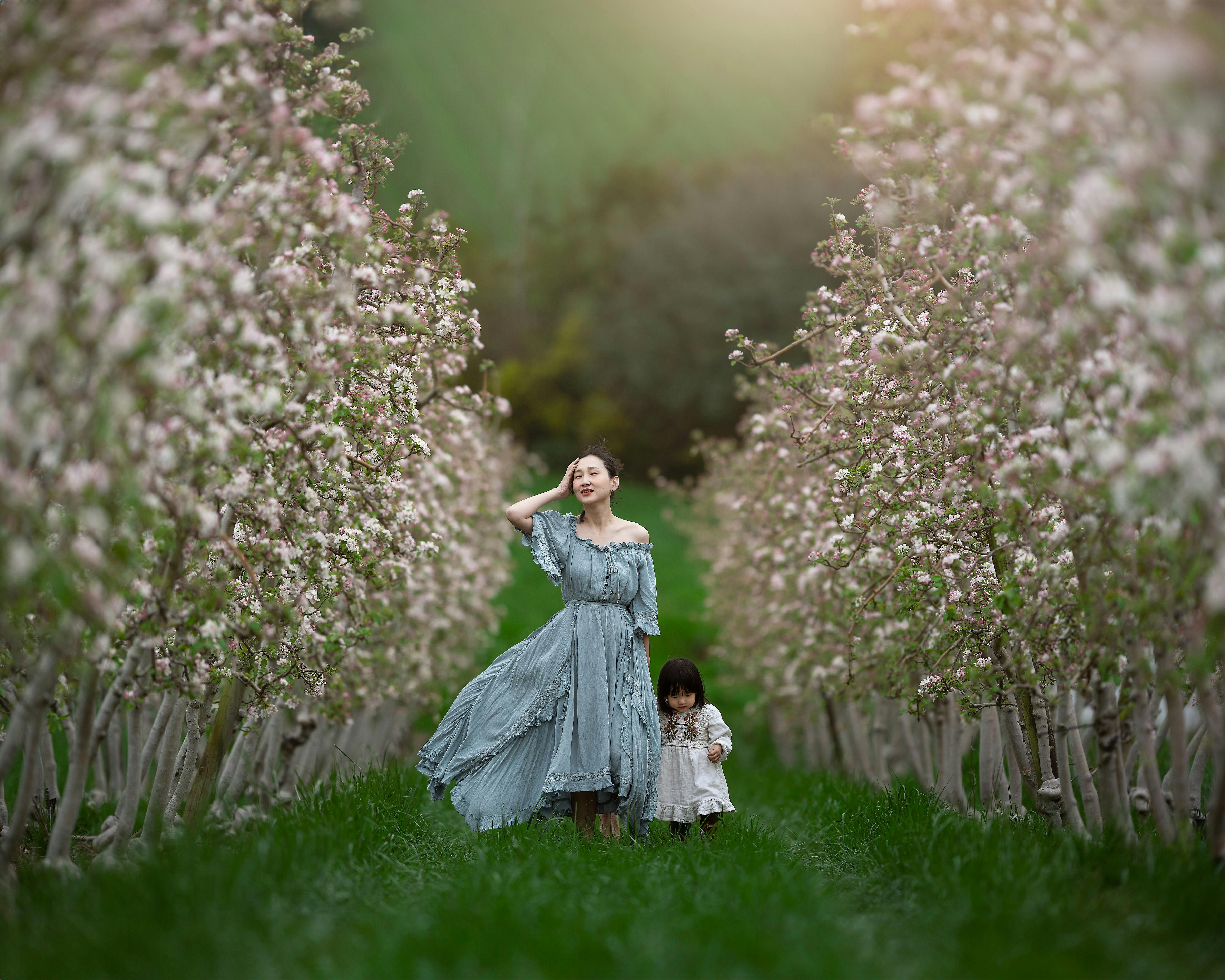 Spring Apple Blossom Photography Sessions