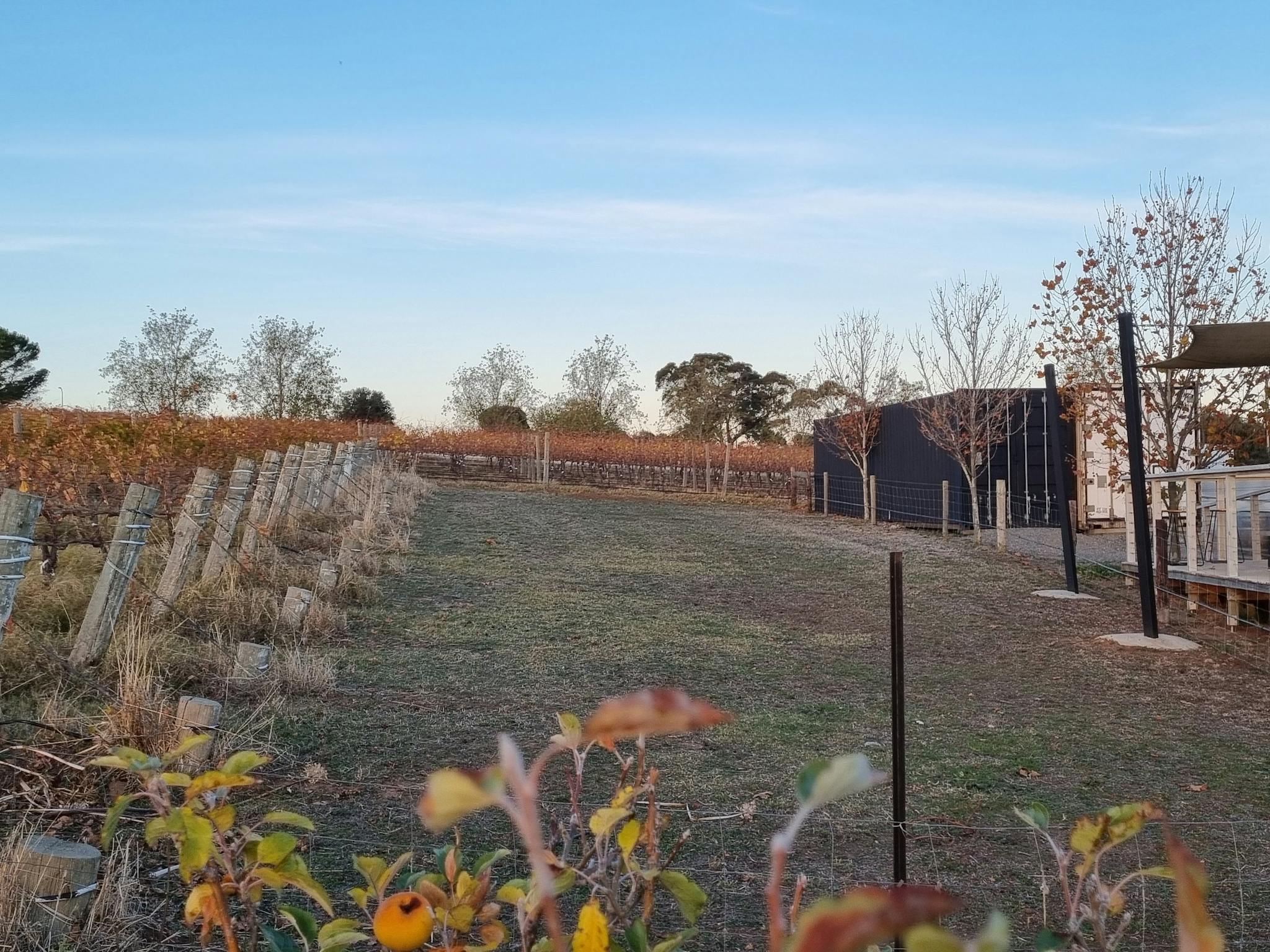 Cellar Door overlooking vineyards