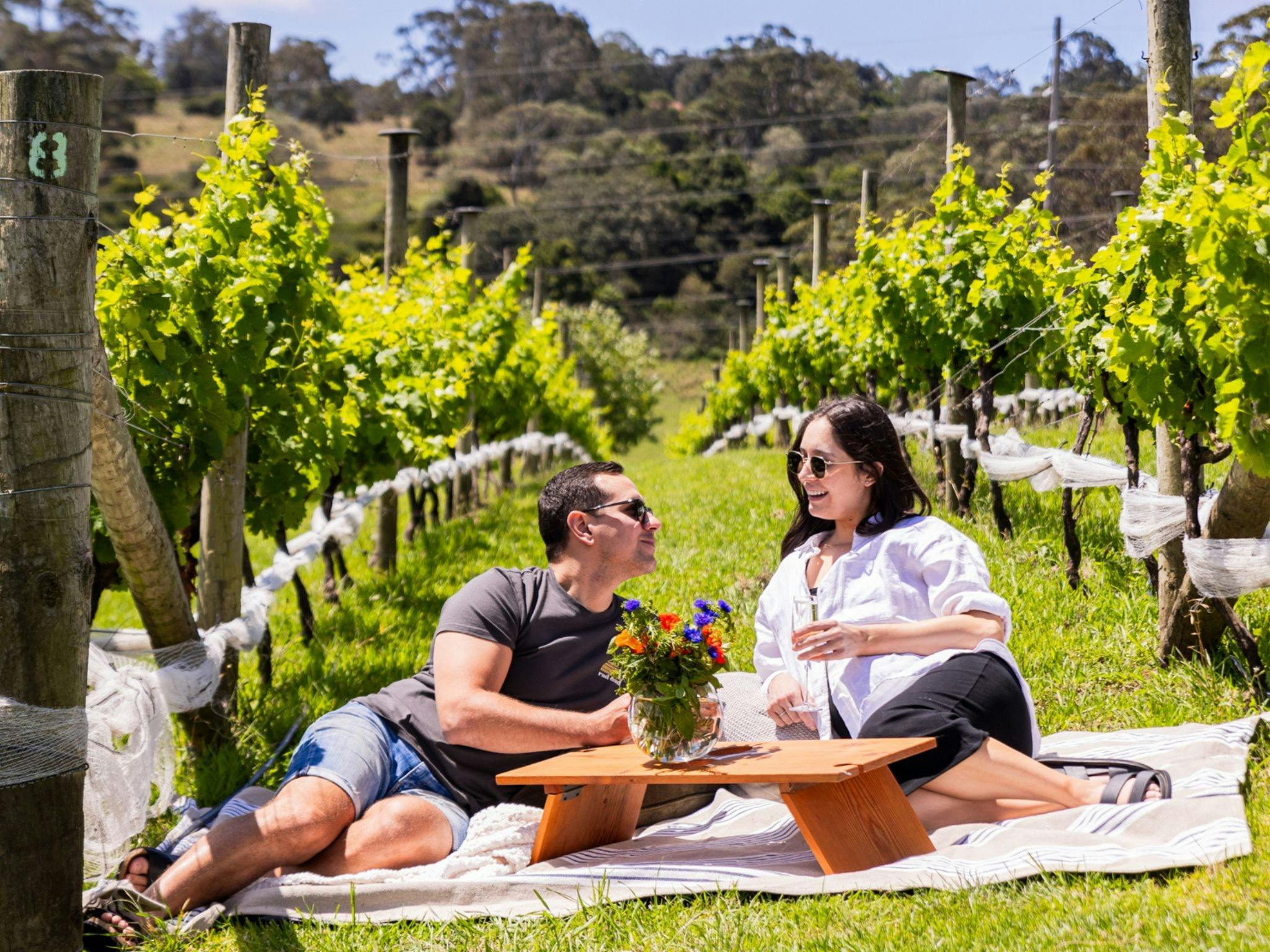 Vineyard Proposal Package