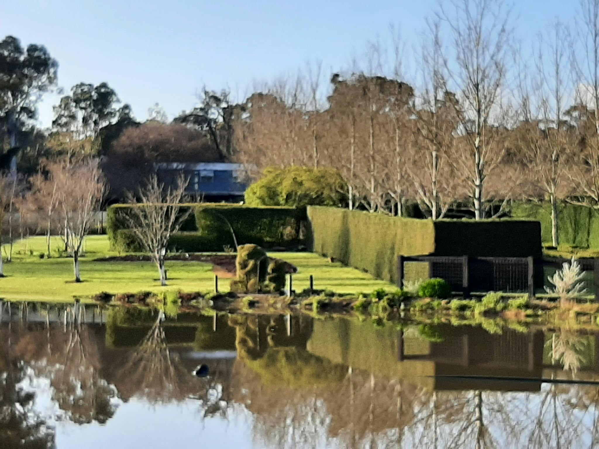 Dam and topiaries in winter