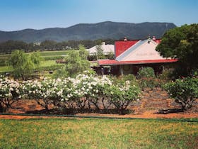 Hanging Tree Wines