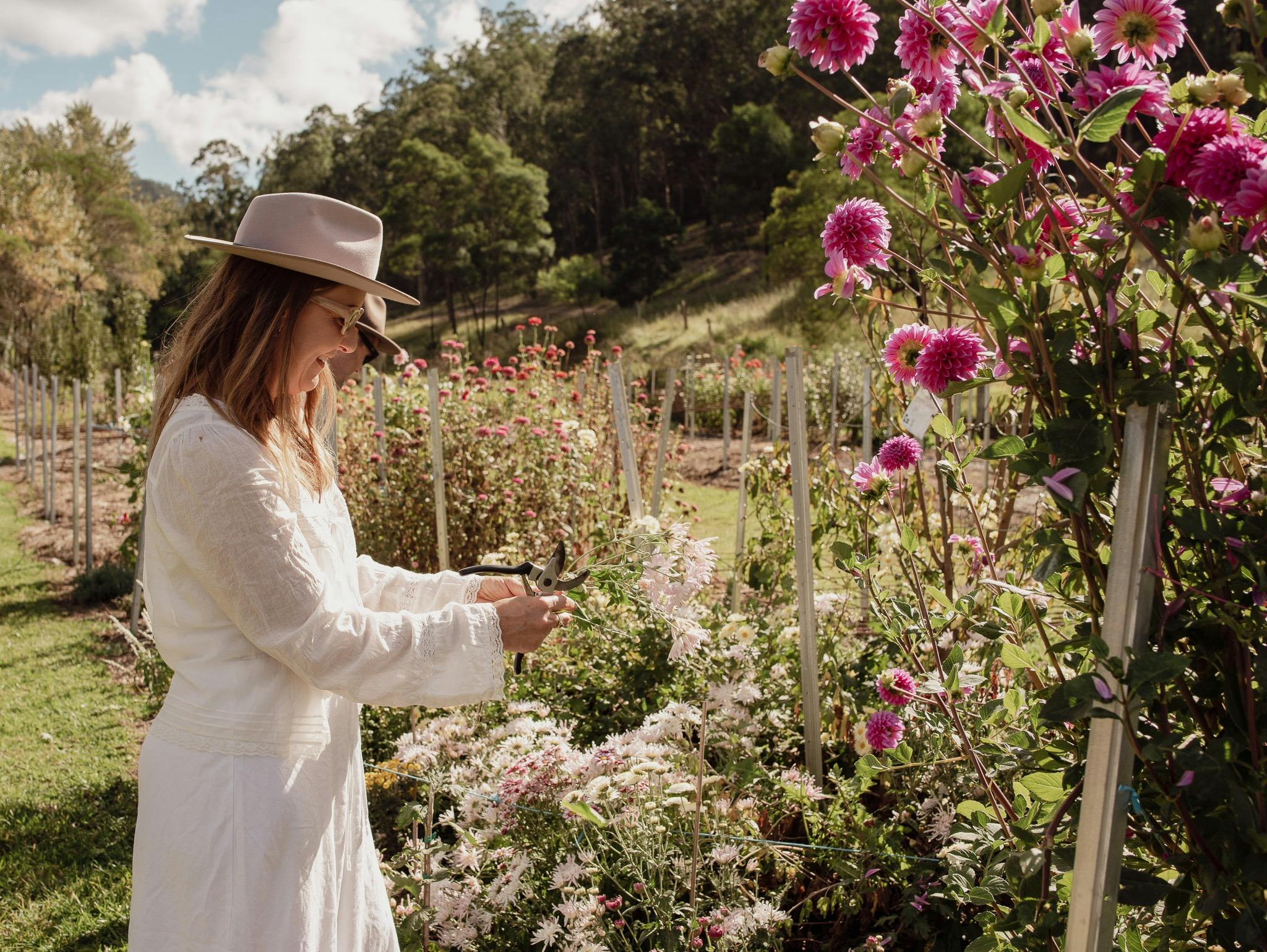 Flower Field