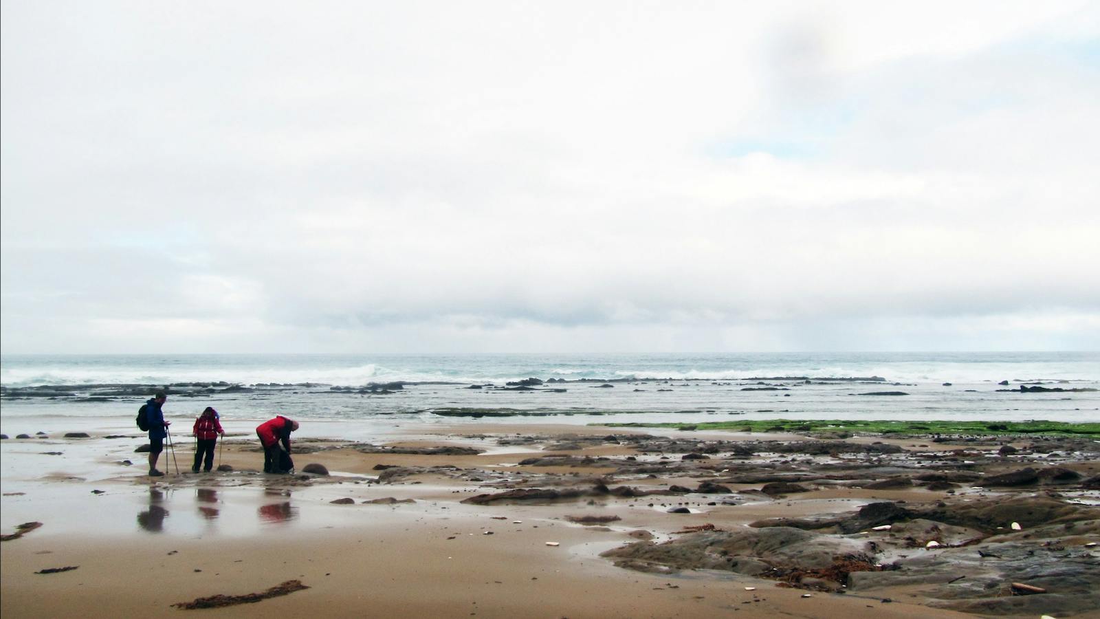 Milanesia Beach Great Ocean Walk Walk 91