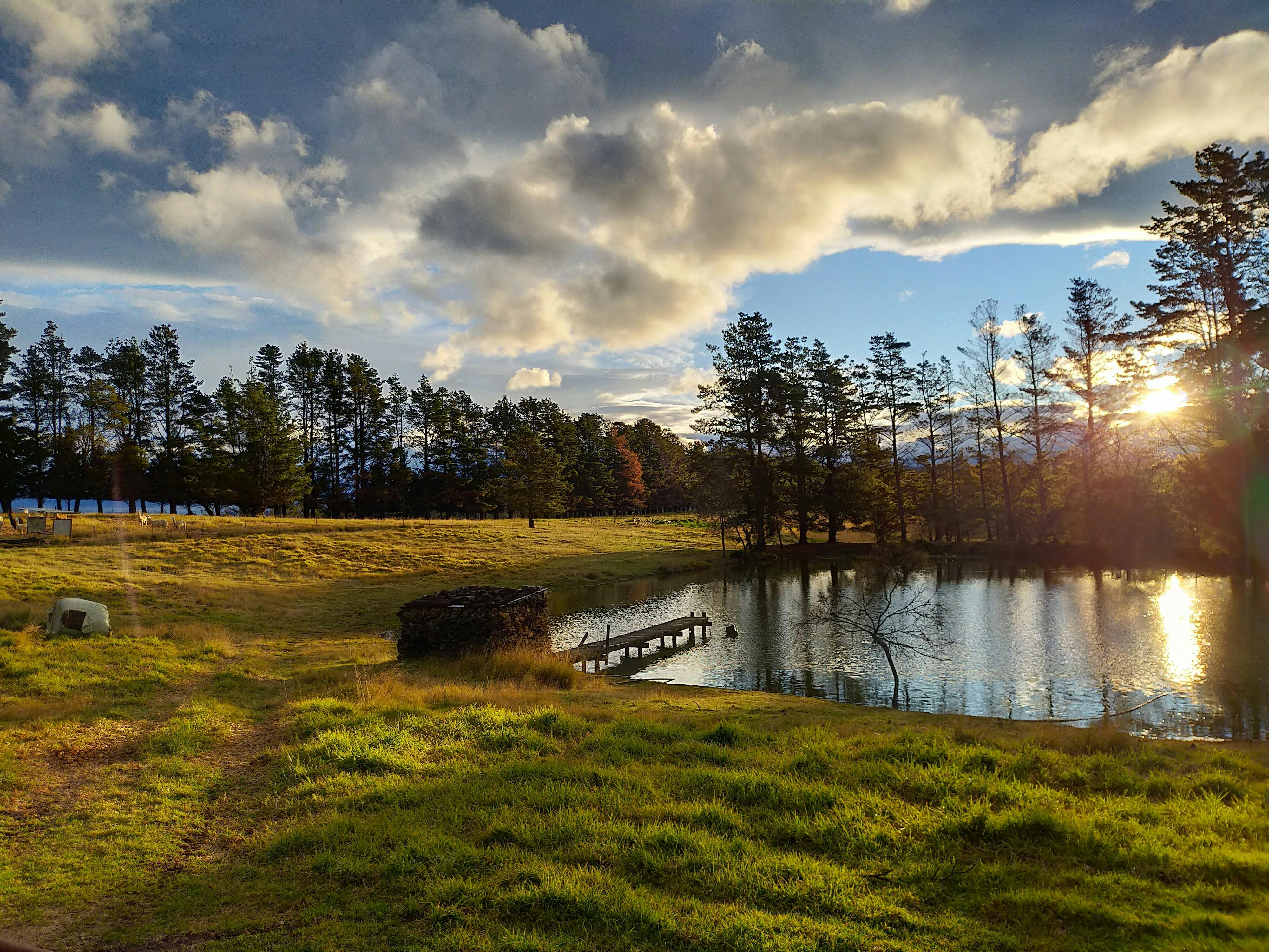 A small farm dam with the sun poking through tall trees in the background.