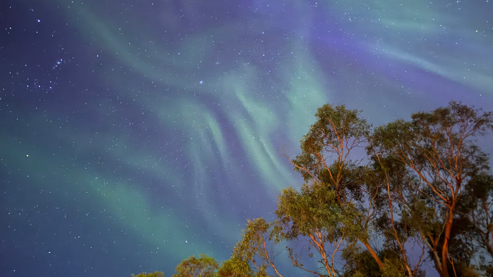 Aurora australis, the southern lights