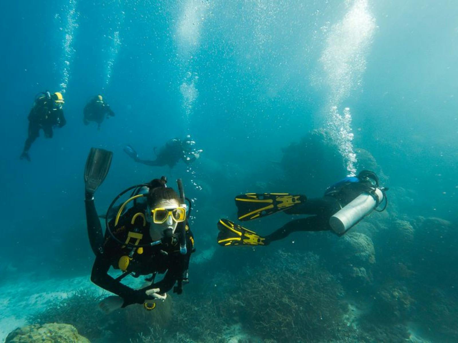 Dive by day, defy gravity by night